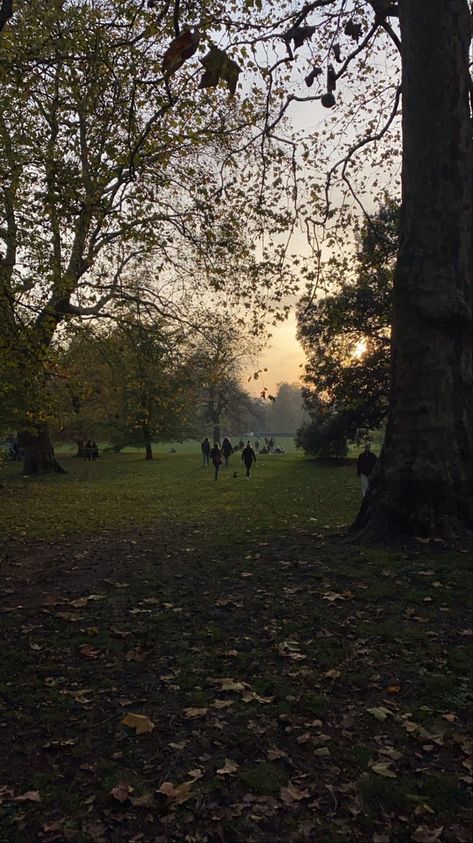 Battersea Park Battersea Park, Netflix And Chill, Travel Pictures, Camera Roll, Tree Trunk, Trees, London, Plants, Travel