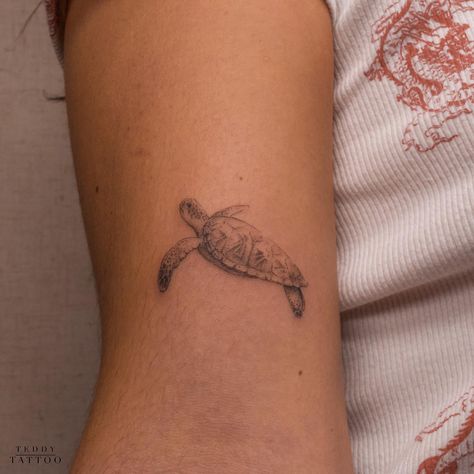 30+ Fine Line Tattoos for Minimalist Guys and Girls - 100 Tattoos Fine Line Tattoo Turtle, Women Fine Line Tattoo, Turtle Tattoo Fine Line, Dainty Tats, Small Turtle Tattoo, Beachy Tattoos, Pearl Tattoo, Shell Tattoos, Turtle Tattoo Designs