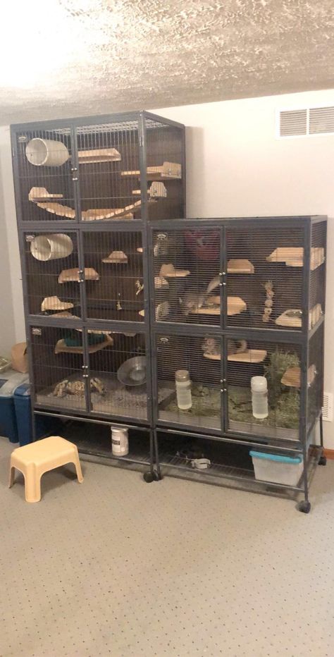 Chinchilla Cage Setup, Cute Chinchilla Cage Ideas, Diy Chinchilla Cage, Chinchilla Cage Ideas, Diy Chinchilla Toys, Ferret Enclosure, Ferret Diy, Diy Rat Toys, Pet Rat Cages