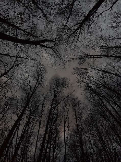 ominous woods, cloudy sky, dark aesthetic, witchy Witchy Woods Aesthetic, Earth Dark Aesthetic, Grey Woods Aesthetic, Dark Hazy Aesthetic, Dark Stormy Aesthetic, Dark Leaves Aesthetic, Witchy Dark Aesthetic, Cloudy Aesthetic Dark, Dark Outdoors Aesthetic