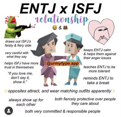 Entj X Isfj, Mbti Entj, Entj Relationships, Entj Mbti, Mbti Ships, Finding Friends, All Memes, Entj Personality, 16 Personality Types