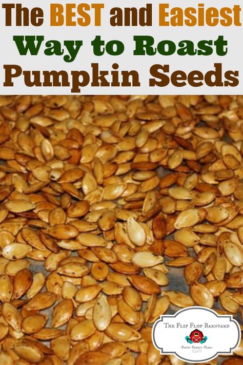 Pumpkin Seed Recipes Baked, Maple Roasted Pumpkin Seeds, Pumpkin Seed Recipes Roasted, Spicy Roasted Pumpkin Seeds, Perfect Pumpkin Seeds, How To Roast Pumpkin, Homemade Pumpkin Seeds, Roast Pumpkin Seeds, Pumpkin Seeds Baked