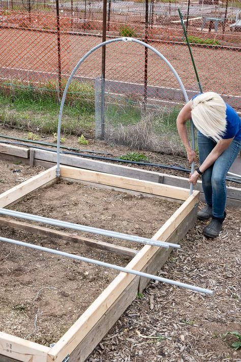 Raised Garden Cover, Garden Cloches, Raised Garden Beds Diy Vegetables, Greenhouse Construction, Food Growing, Garden Cover, Garden Cloche, Hoop House, Beds Diy