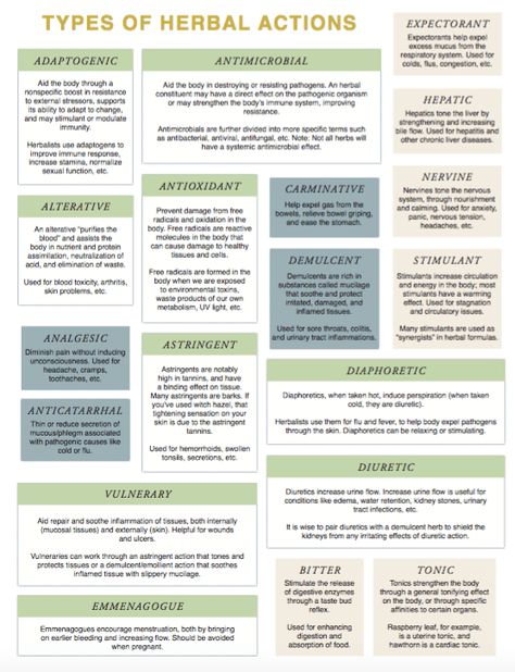 Plant Constituents - Types of Herbal Action Diy Materia Medica, Herbal Materia Medica, Herbal Monograph Template, Herbal Actions, Herbs And Their Uses, Herbal Formulation, Herbal Academy, Herbal Education, Medicinal Herbs Garden