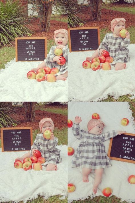 Such a cute fall monthly photoshoot idea for your cutie babe! Grab yourself some apples, a letter board, a blanket, and a cutie little babe! Monthly Photoshoot, Baby Holiday Photos, Fall Baby Pictures, 8 Month Baby, Apple Picture, Baby Apple, Baby Milestones Pictures, Monthly Pictures, Boy Birthday Decorations