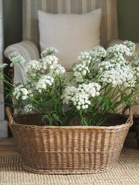 Wicker Basket Decor Ideas, Wicker Basket Decor, Basket Decor Ideas, Oval Basket, Basket Decor, Wedding Venue Decorations, Cottage Core Aesthetic, White Cottage, Venue Decor