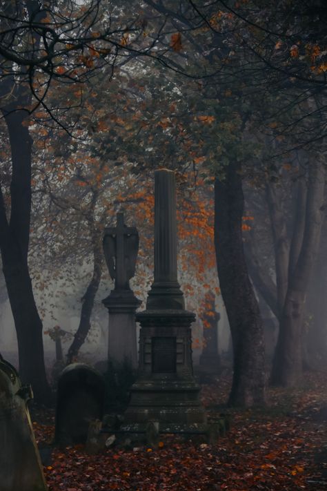 Fall Graveyard Aesthetic, Gothic Halloween Aesthetic, Environmental Reference, Autumn Cemetery, Gargoyles Art, Cemetery Statues, Last Resort, Cemetery Art, Aesthetic Autumn