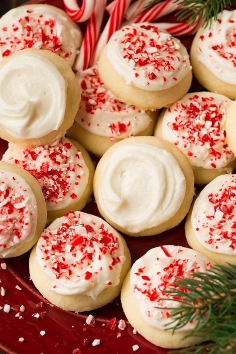 Peppermint Meltaway Cookies | Cooking Classy Meltaway Cookies, Peppermint Recipes, Eggnog Cookies, Peppermint Sugar Cookies, Peppermint Chocolate, Best Christmas Cookie Recipe, Christmas Cookie Recipes, Peppermint Sugar, Peppermint Cookies