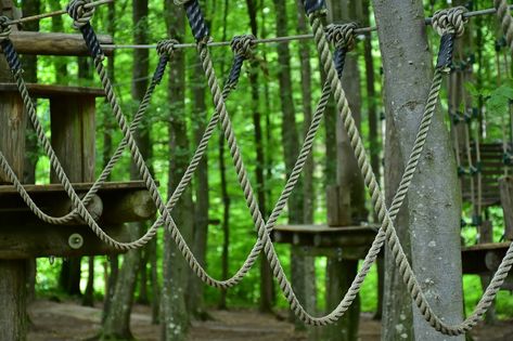 Have a great time creating fun backyard ropes course with your kids! Backyard Ropes Course, Backyard Obstacle Course, Creation Museum, Playground Landscaping, High Ropes Course, Kids Obstacle Course, Museum Plan, Biblical History, Backyard Adventure