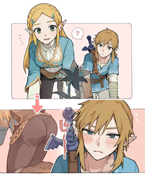 Zelda Anime, Legend Of Zelda Characters, Princesa Zelda, Legend Of Zelda Memes, Time Cartoon, Cool Pixel Art, Link Zelda, Anime Body Drawing, Cute Couple Drawings