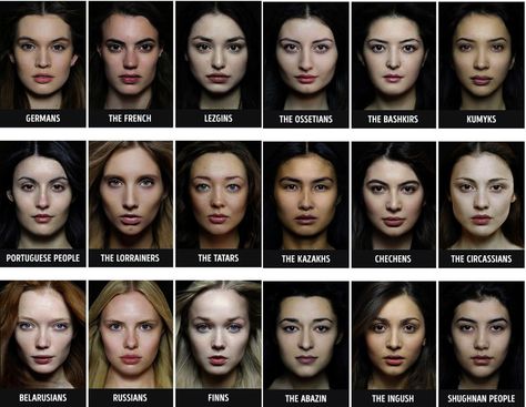 Different Facial Structures, European Features Face, Facial Structure Reference, Face Structure Reference, Human Face Reference, Drawing Human Face, Face Structure Drawing, Average Face, Facial Structure