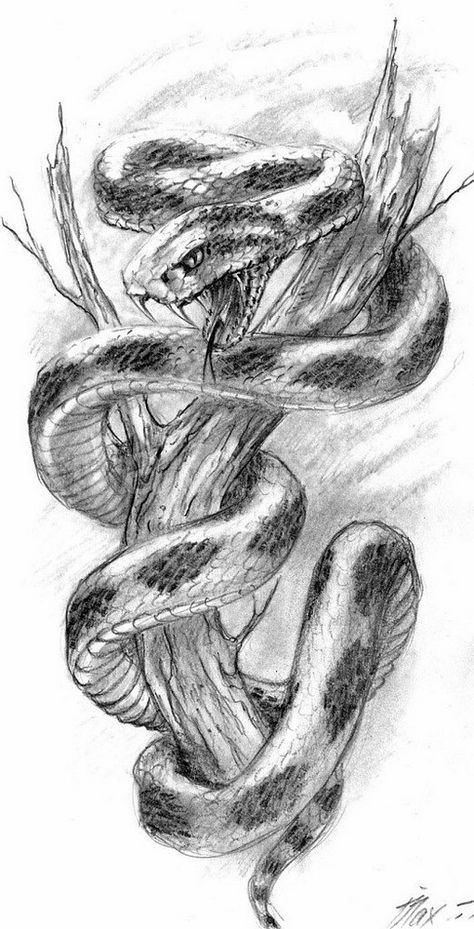 Snake Wrapped Around Drawing, Rattlesnake Tattoo, Snake Sketch, Snake Drawing, Gcse Art Sketchbook, Snake Tattoo Design, Animal Illustration Art, Africa Animals, Snake Art