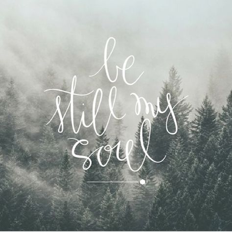 Be Still My Soul Be Still My Soul, Give Me Jesus, Be Still And Know, Psalm 46 10, How He Loves Us, Sweet Quotes, Lovely Quote, Verse Quotes, Bible Verses Quotes