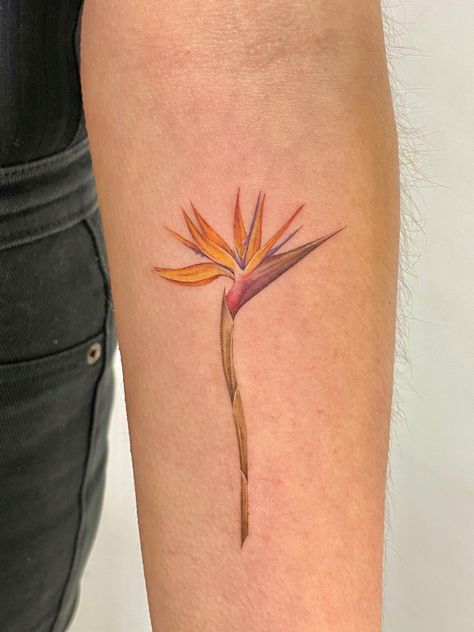 Bird Of Paradise Plant Tattoo, Strelitzia Tattoo, Colored Tattoos, Bird Of Paradise Tattoo, Fashion Tattoo, Bird Of Paradise Plant, Paradise Tattoo, Plant Tattoo, Friend Tattoos