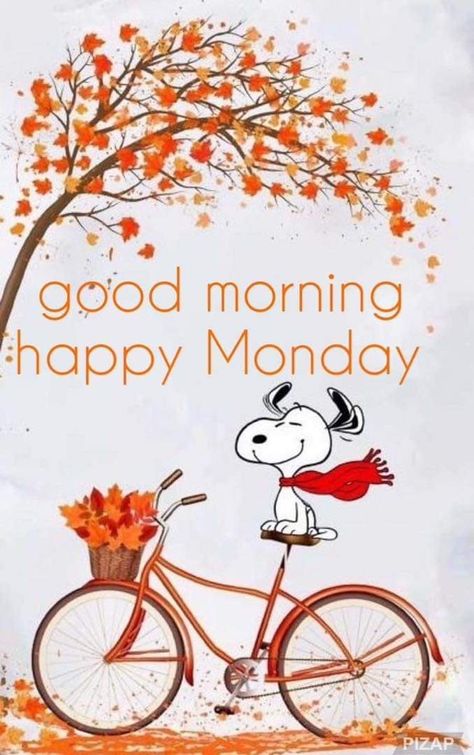 Monday Morning Greetings, Monday Morning Wishes, Happy Monday Images, Monday Greetings, Monday Morning Motivation, Funny Good Morning Images, Happy Monday Quotes, Monday Morning Quotes, Good Morning Snoopy