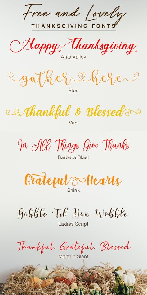 Thanksgiving Fonts Free, Thanksgiving Fonts Alphabet, Thanksgiving Font, Thanksgiving Fonts, Fall Fonts, Christmas Fonts Free, Fonts Christmas, Popular Fonts, Free Script Fonts