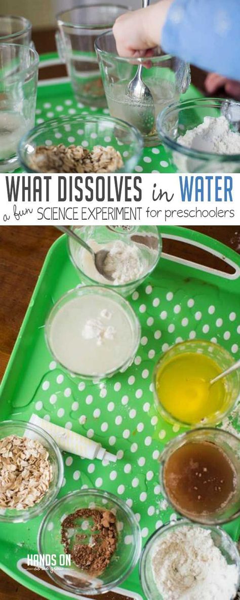 Water Science Preschool, What Dissolves In Water Experiment, Science Week Eyfs, Preschool Water Theme Activities, Water Week Preschool, Water Theme For Preschool, Water Curriculum Preschool, Learning About Water Preschool, Preschool Water Crafts