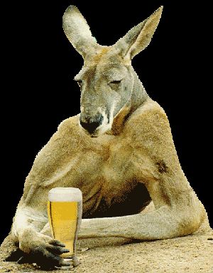 hahaha, silly kangaroo. beer is for people. Kangaroo Tail, James Foster, Funny Aussie, Coffee And Me, Funny Creatures, Funniest Short Jokes, Coffee Project, Happy Australia Day, Joke Stories