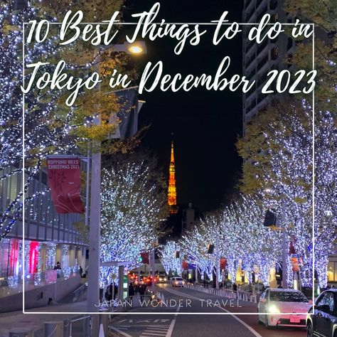 December in Tokyo is a month full of events! Make sure to pack your schedule with events! Tokyo Itinerary, Things To Do In Tokyo, Japanese Holidays, Visit Tokyo, Tokyo Bay, Tokyo Art, Japanese Pop Culture, Odaiba, We Got It