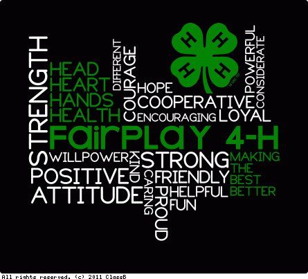 Flip the black and white and we have our shirt design for next year 4 H Clover, Club Name, Power Words, Clover Logo, 4 H Club, Compare Quotes, T Shirt Design Ideas, Word Shirts, Catholic Kids