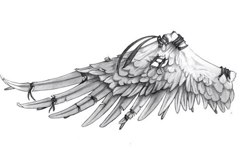 Icarus Wings Drawing, Broken Wings Sketch, Icarus Wings Tattoo, Icarus Drawing, Hermes Tattoo, Icarus Wings, Icarus Tattoo, Wings Of Icarus, Wings Sketch