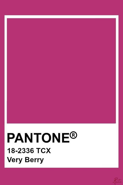 Pantone Rosa, Red Pantone, Pink Pantone, Pantone Tcx, Pantone Color Chart, Pantone Colours, Moodboard Fashion, Pantone Palette, Pantone Colour Palettes