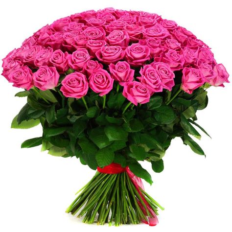 If are unable to decide which online florist is good for flowers delivery in Chennai then I don’t feel stress anymore and go with OyeGifts/com, we will help you in order to send flowers to Chennai at same day without charging delivery cost. Pink Roses, Roses, Vase, Flowers, Pink