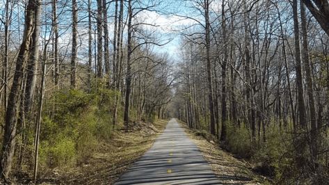 Swamp Rabbit Trail, Swamp Rabbit, Rock Quarries, Bicycle Trail, Travelers Rest, Muddy Paws, Autumn Park, Spring Activities, Green Space