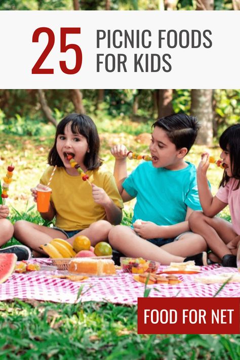 Picnic Foods For Kids, Picnic Food Kids, Kids Picnic Foods, Kids Picnic Parties, Chicken Sushi, Homemade Jerky, Cheese Whiz, Space For Kids, Picky Kids