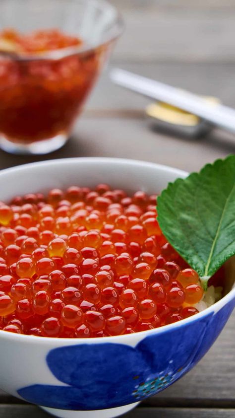 Ikura don with homemade ikura (salmon roe) on a hot bowl of rice. Ikura Recipe, Asian Potluck, Healing Gut, Cured Salmon, Bowl Of Rice, Japanese Recipe, Salmon Eggs, Fresh Salmon, Salmon Roe