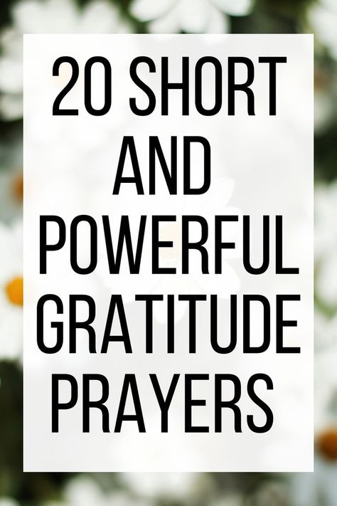 Our thankful gratitude prayers connect our hearts to God and refocus our eyes on the good things He is doing in our lives. 🙏🏼 Use these 20 short and powerful gratitude prayers to guide your prayer life and open up new paths of gratitude in your day. Prayers For Gratefulness, Devotion On Gratitude, Thankful For Gods Blessings Gratitude, Thankful Quotes Life Gratitude Prayer, Prayers For Thankfulness Gratitude, Grateful Prayers To God, Thank You Prayer Gratitude, Grateful Prayer Thank You God, Prayers For Thanking God