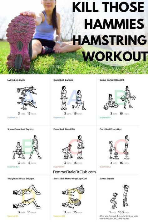 If you want the perfect complement to any booty workout then try this hamstrings workout which involves supersets and a burnout exercise. Your hamstrings and glutes will thank you. #hamstrings #hamstringworkout #hamstringexercise #hamstringstretch Glut Hamstring Workout, Leg Day Hamstring Focus, Hams Workout At Home, Posterior Workouts, Quad Hamstring Glute Workout, Ham And Glute Workout, Beginner Hamstring Exercises, Hamstring Workout Gym For Women, Exercises To Strengthen Hamstrings