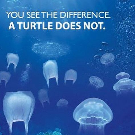 Save Planet Earth, Ocean Pollution, Save Our Earth, Save Our Oceans, Ocean Conservation, Environmental Awareness, Plastic Pollution, A Turtle, Marine Biology