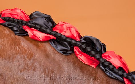 Spanish braid with ribbons.  Not exactly the same but a similar style in this tutorial: https://www.youtube.com/watch?v=KIW5bG_DY_E Mane Braiding, Hair Braid Ribbon, Horse Braids, Horse Mane Braids, Braid Ribbon, Horse Hair Braiding, Horse Ribbons, Horse Braiding, Spanish Horse