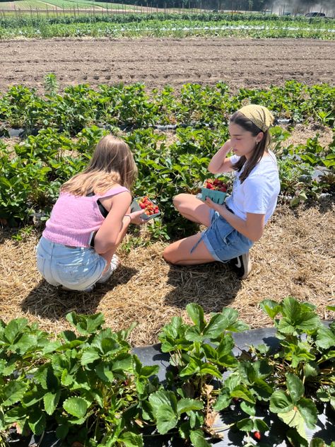 Strawberry Picking Aesthetic Friends, Strawberry Picking With Friends, Picking Strawberries Aesthetic, Strawberry Picking Date, Picking Strawberries, Strawberry Picking Aesthetic, Berry Picking Outfit, Strawberry Picking Pictures, Summer Checklist