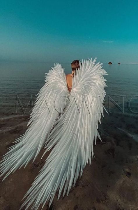 Wings Of Desire, Angel Wings Costume, Cosplay Wings, Angel Photography, Acrylic Art Projects, Angel Artwork, Angel Costume, Ange Demon, Wings Art