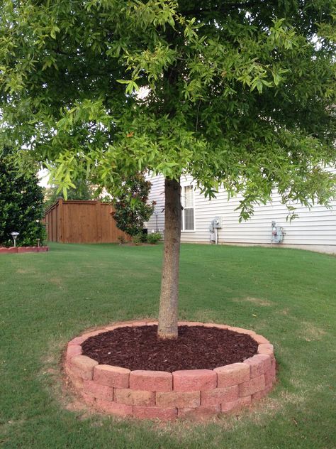 Trees For Front Yard, Landscaping Around Trees, Cheap Landscaping Ideas, Small Backyard Landscaping Ideas, Front Garden Landscape, Backyard Landscaping Ideas, Front Yard Landscaping Simple, Diy Backyard Landscaping, Front House Landscaping