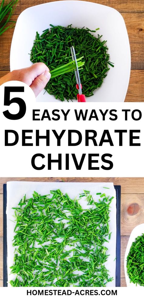 How to dehydrate chives in your dehydrator, oven, or air drying. Step by step tutorial on drying chives to add to your food storage. It’s a great way to enjoy the flavor of chives for months and adding a pop of color to your meals. Drying Chives In The Oven, How To Dry Chives, Dehydrating Herbs In Air Fryer, Dehydrate Chives, How To Dehydrate Chives, Dehydrated Chives, Dehydrate Herbs In Oven, Dehydrating Chives In Dehydrator, Drying Chives