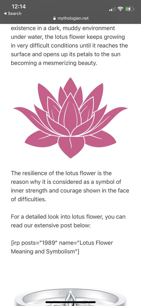 Lotus Red Tattoo, Red Lotus Flower Tattoo, Red Lotus Tattoo, Lotus Flower Meaning, Red Flower Tattoos, Flower Tattoo Back, Red Lotus, Water Lilly, Red Tattoos