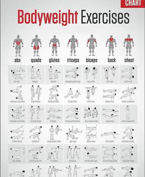 "Bodyweight Exercises" iPad Case & Skin by superfitstuff | Redbubble Plank Shoulder Taps, Bench Workout, Bolesti Chrbta, Natural Detox Drinks, Reverse Crunches, Bodyweight Exercises, Sit Ups, Body Workout Plan, Workout Chart