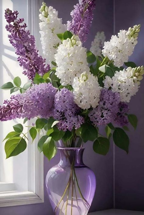 Lilac Plant, Flowers Window, Dream Backyard Garden, Syringa Vulgaris, Balkan Peninsula, Flower Window, Wallpaper Flowers, Flower Vase Arrangements, Wedding Floral Centerpieces