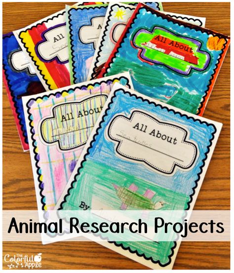 Curriculum Developer, Animal Writing, Animal Research, Animal Report, Non Fiction Writing, 2nd Grade Writing, 1st Grade Science, Animal Adaptations, First Grade Science