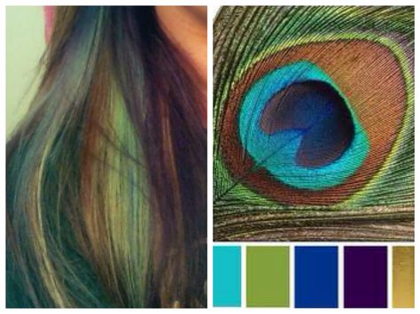 Peacock peek a boo highlights #peacock #hair #highlights #peekaboo #purple #teal #blue Peacock Hair Color Peekaboo Dark, Peacock Hair Color Peekaboo, Peacock Hair Color, Peekaboo Highlights, Peacock Hair, Peekaboo Hair, Teal Hair, Hair Tutorials Easy, Blonde Hair With Highlights