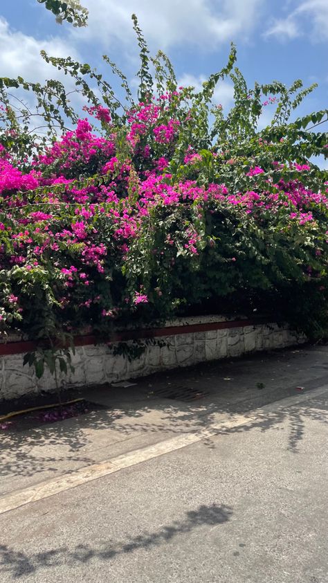 pretty pretty road <3 📍bayramji jeejeebhoy road, bandra Nature Road Background, Background Images For Editing Instagram, Photo Background Images Aesthetic, Background Images Road, Mirror Background For Editing, Background Images For Editing Landscape, Natural Background For Editing, Road Background For Editing, Roads Background For Editing