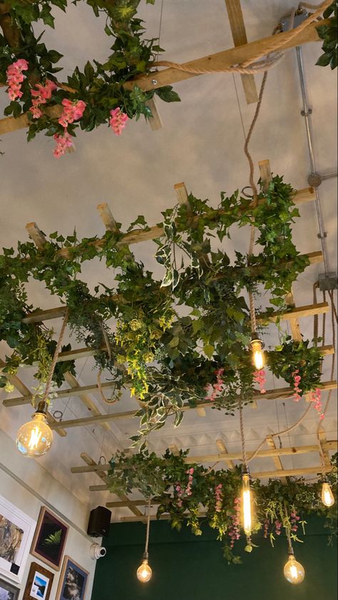 Plant Shop Lighting, Cafe Ceiling Design Ideas, Plant Ceiling Decor, Modern Indoor Plants, Garden Ladder Ideas, Plant Ceiling, Plant Chandelier, Massage Room Design, Rooftop Restaurant Design