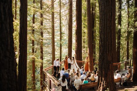 Deck Wedding, Redwood Deck, Hoyt Arboretum, Portland Wedding Venues, Redwood Decking, Redwood Wedding, Redwood National Park, Portland Wedding Photographer, Redwood Tree