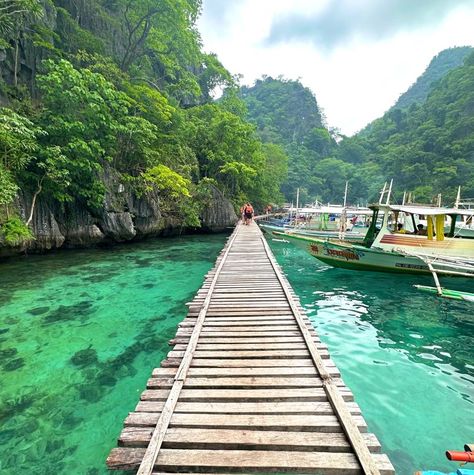 El Nido in Palawan philipines Filipijnen met een goals uitzicht licht water en brug waar je in een lake kon zwemmen en mooie boten zag El Nido Palawan Philippines, Philippines Palawan, Palawan Philippines, Senior Trip, Dream Summer, Bohol, Philippines Travel, Se Asia, Clear Mind