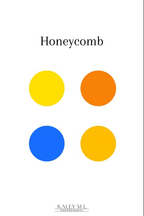 Color Palette Cobalt Blue, Color Palette With Cobalt Blue, Orange Yellow Blue Color Palette, Cobalt Blue Color Palette, Ambassador Bridge, Orange Hex, Palette Logo, Jester Outfit, Bright Navy Blue