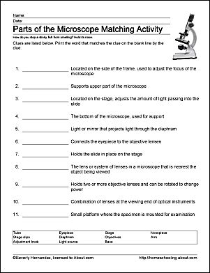 Parts of the Microscope Worksheet Microscope Worksheet, Teaching Cells, Science Cells, Middle School Science Classroom, Interactive Websites, Biology Worksheet, Biology Classroom, History Worksheets, 7th Grade Science