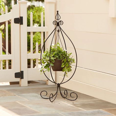 15 Creative Ways to Hang a Plant Outdoors — The Family Handyman Basket Plant Stand, Best Herbs To Grow, Metal Plant Hangers, Basket Plant, Hanging Basket Brackets, Fence Plants, Hanging Terrarium, Support Pour Plante, Front Garden Design